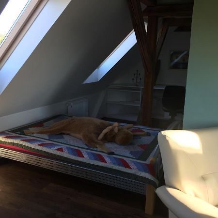 Ferienwohnung Schulze Freital Exteriör bild