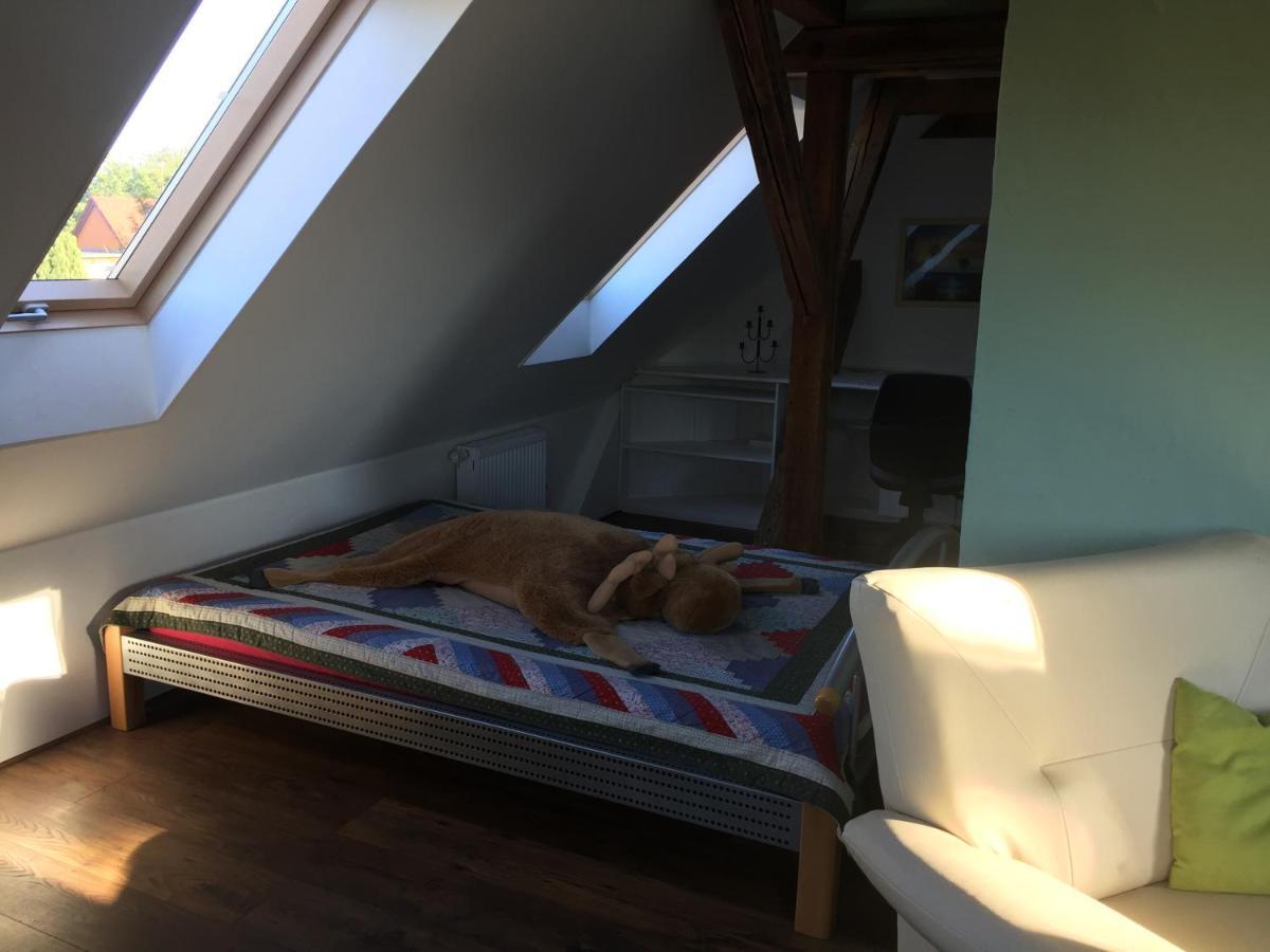 Ferienwohnung Schulze Freital Exteriör bild